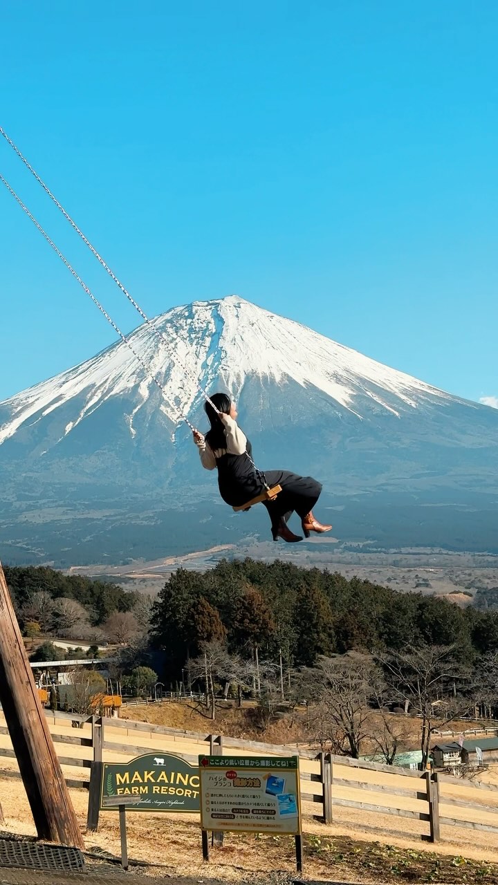 Giant Swing Views of Mount Fuji