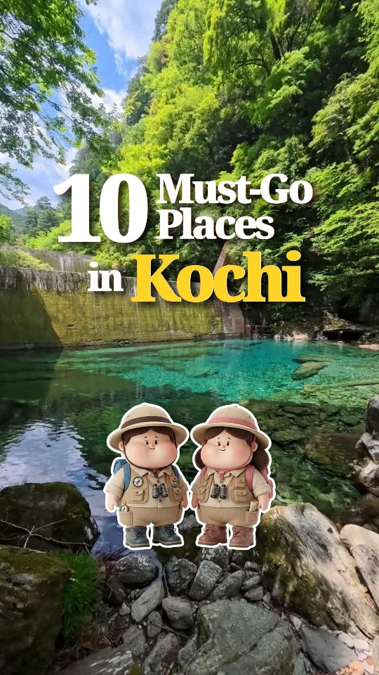 Kochi's Top Natural Wonders and Historical Sites