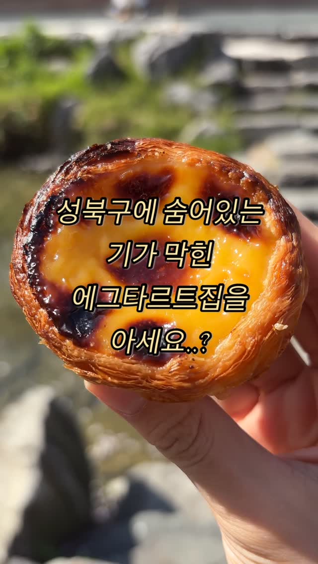 Authentic Portuguese Egg Tarts In Seoul