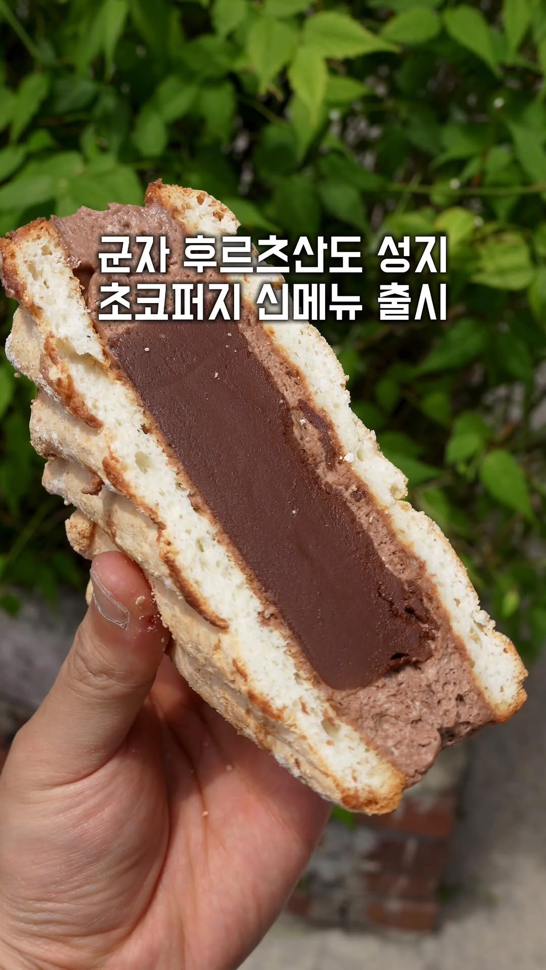 Delicious Fruit Sandos and Chocolate Fudge Creations