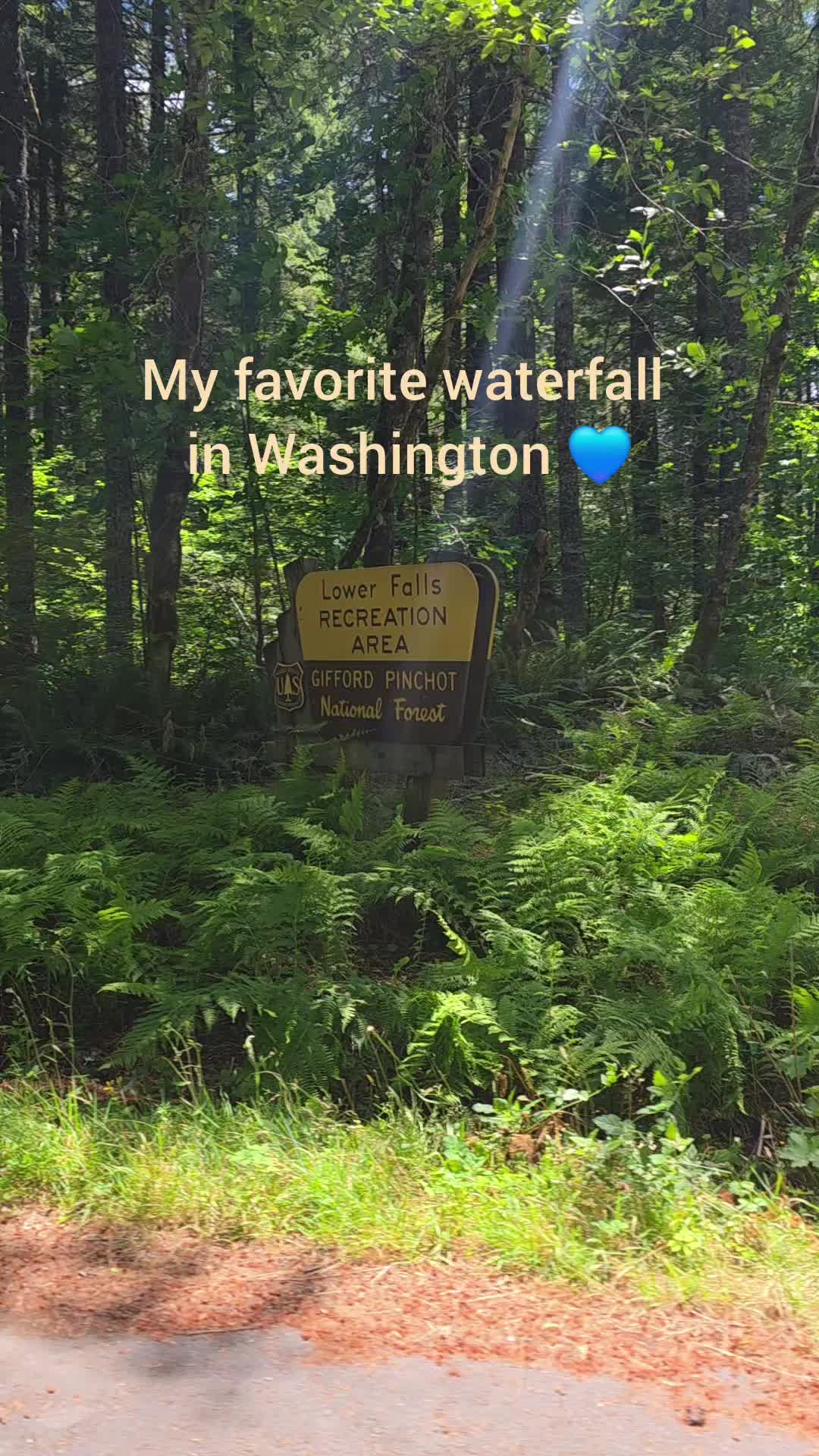 3 Attractions in Cougar