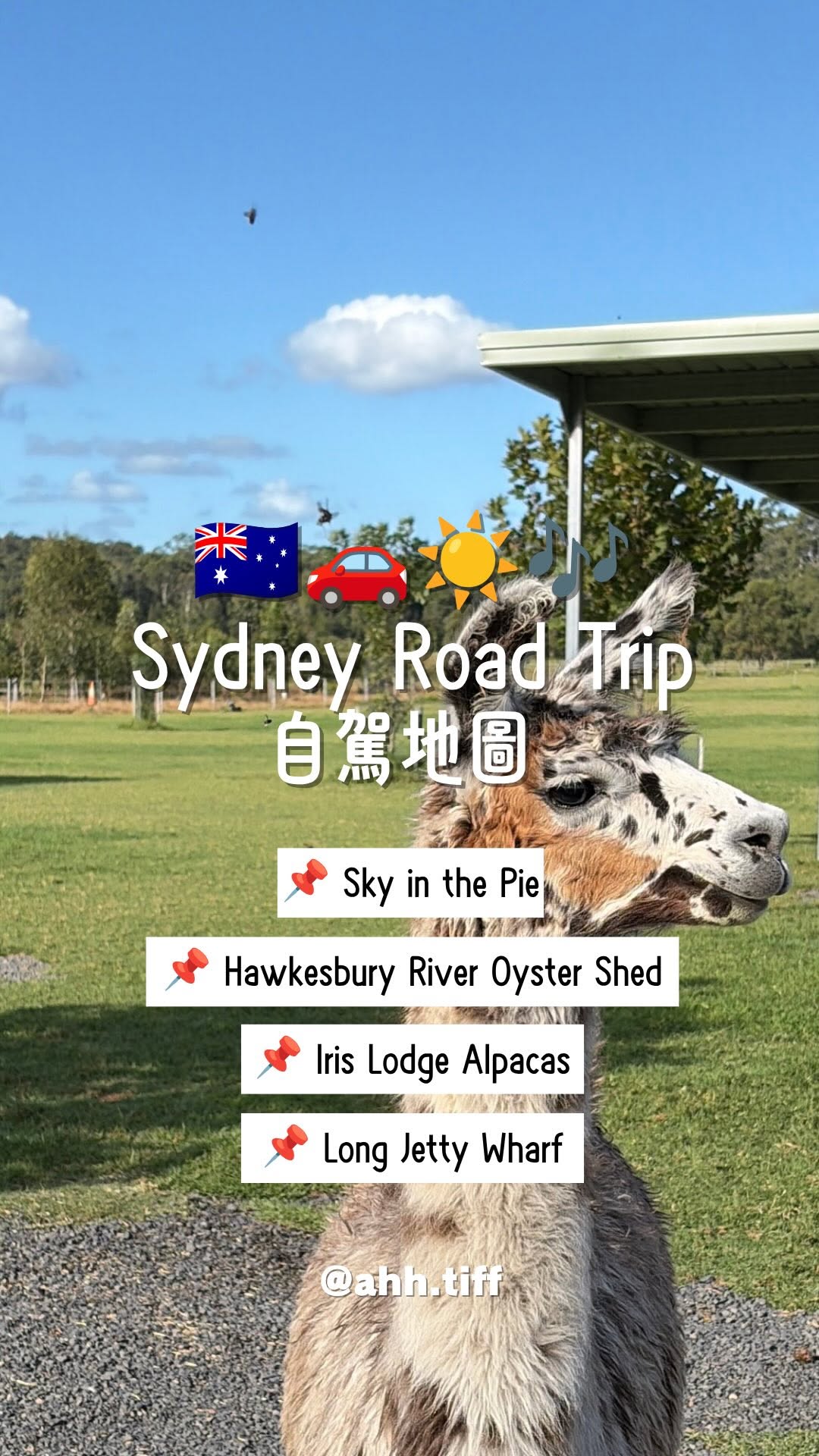 Sydney Road Trip With Alpacas And Scenic Views