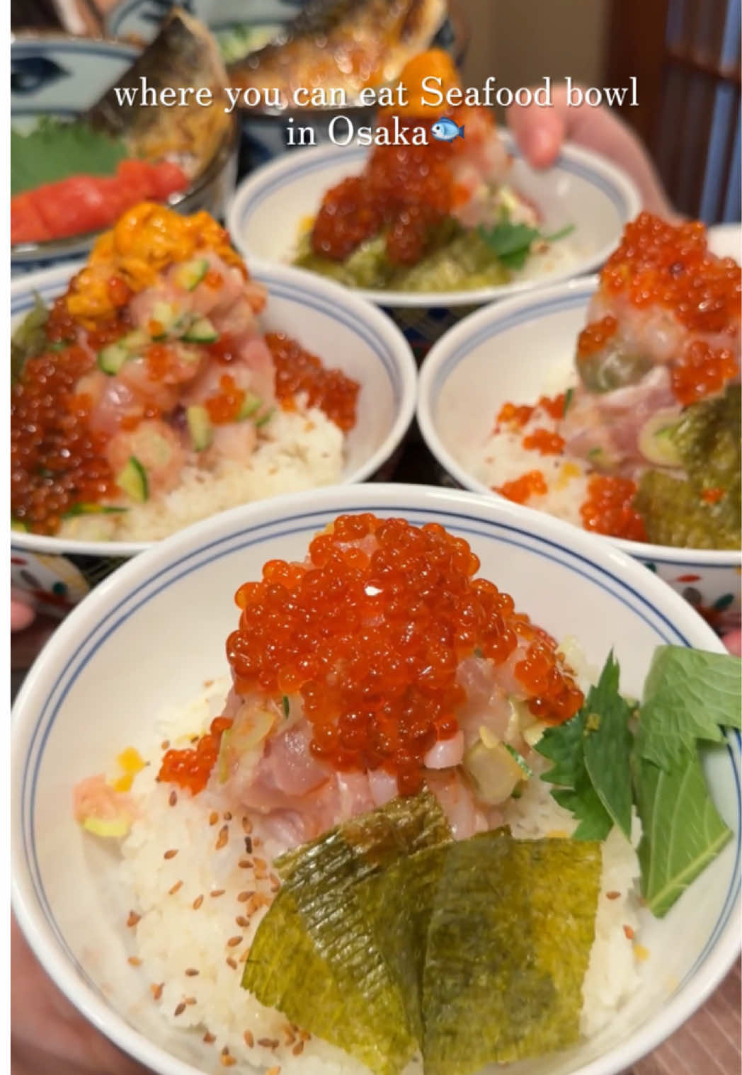 Osaka's Hidden Gem for Affordable Seafood Bowls