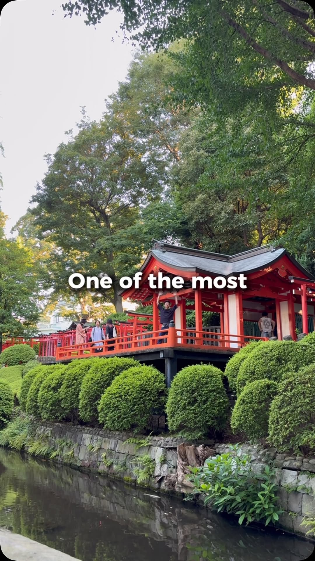Tokyo's Historic Edo-Period Shrines