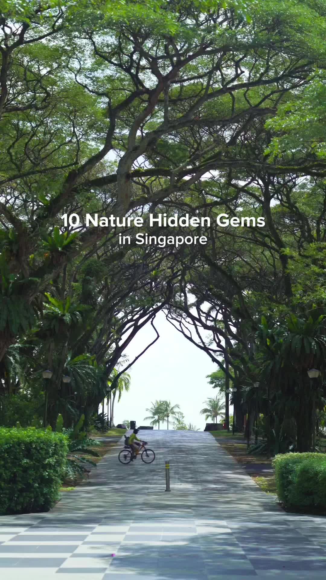 Singapore's Diverse Parks and Gardens