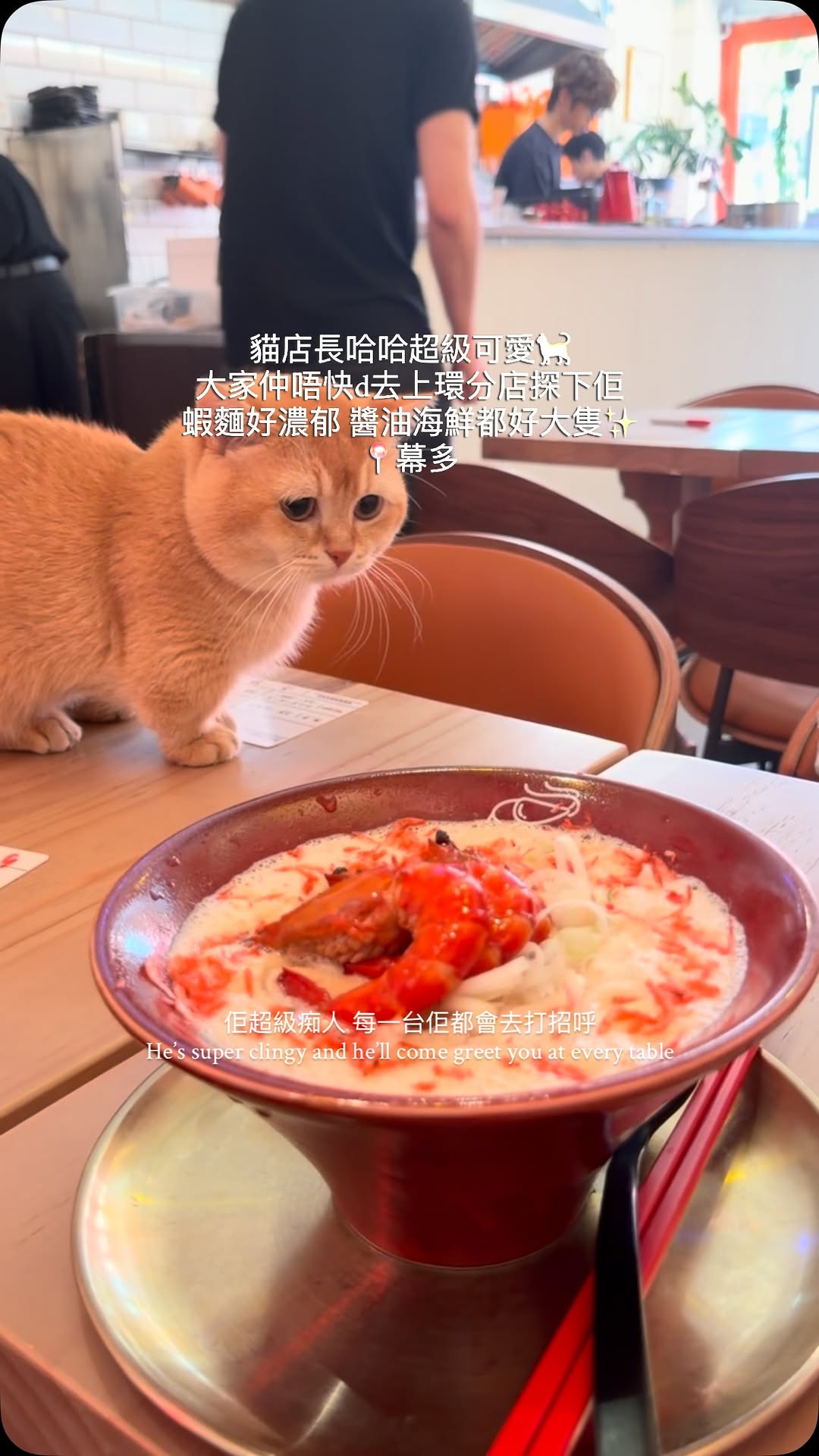 Cat Cafe Sells Shrimp Oil Noodles