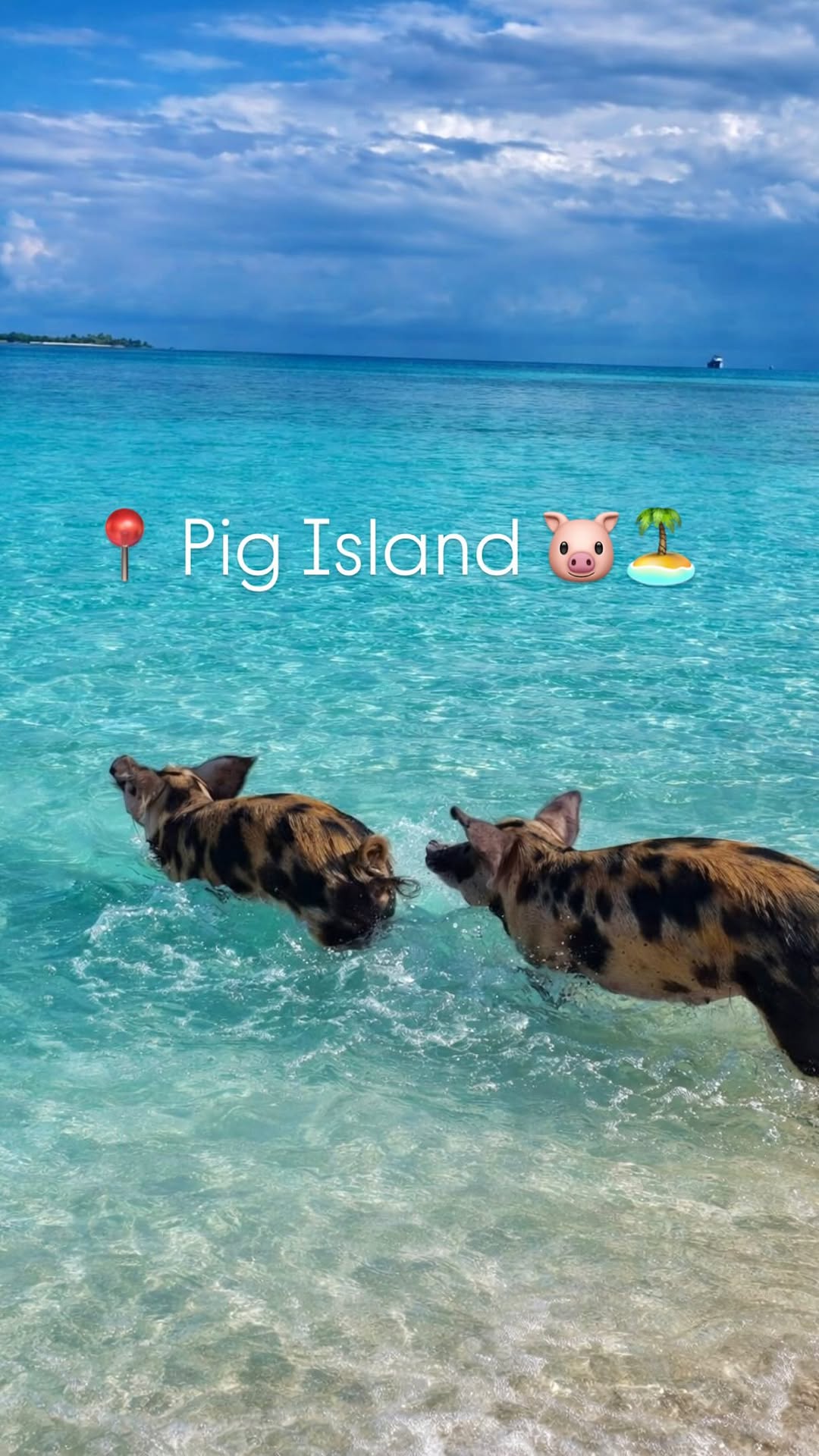 2 Hotels in The Bahamas