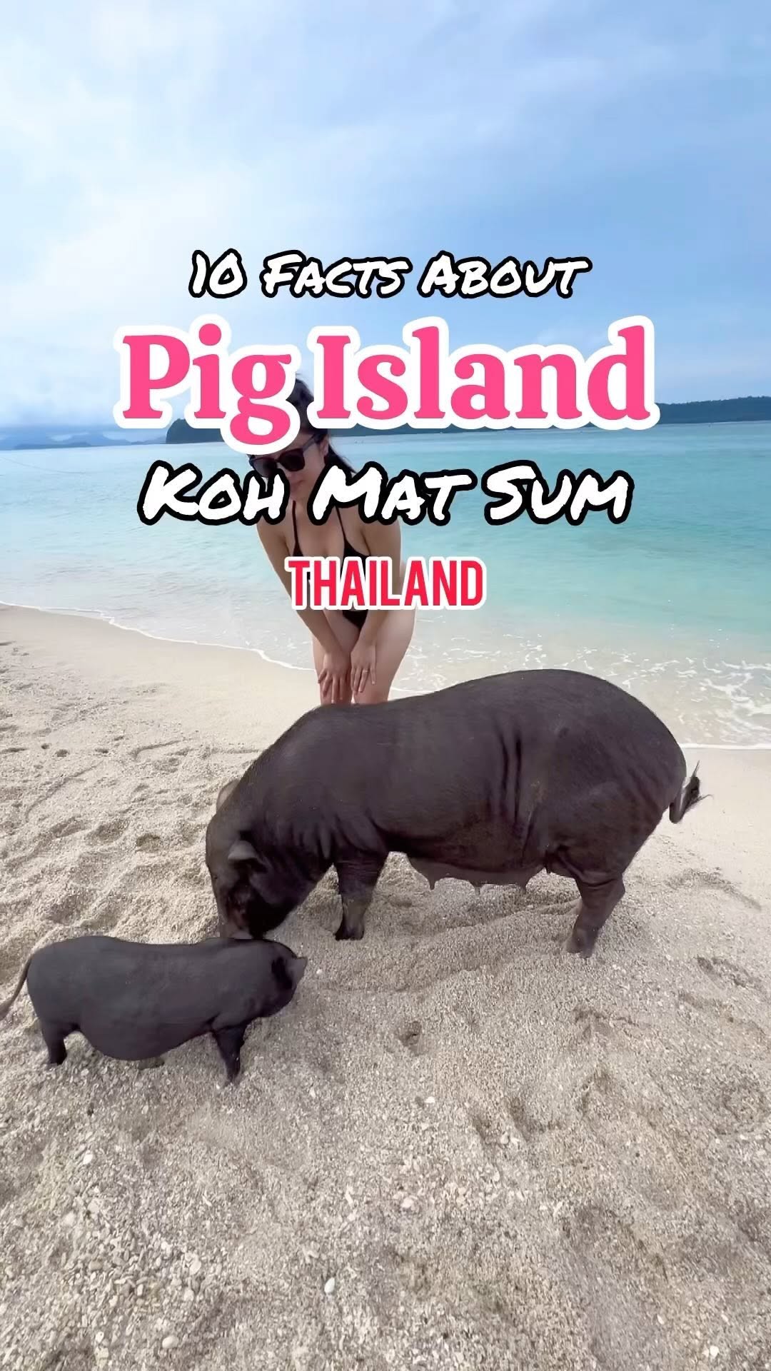 Islands With Pigs In Thailand