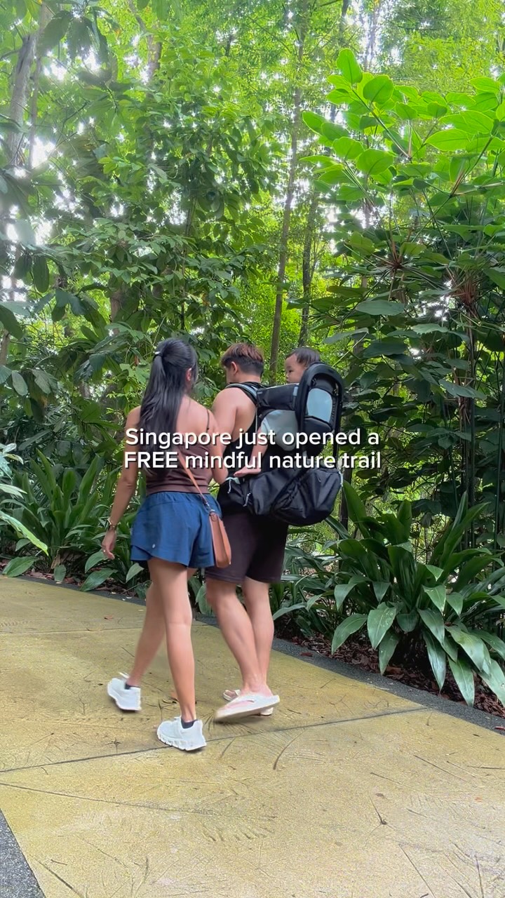 Nature Immersion Trail at Singapore Botanic Gardens