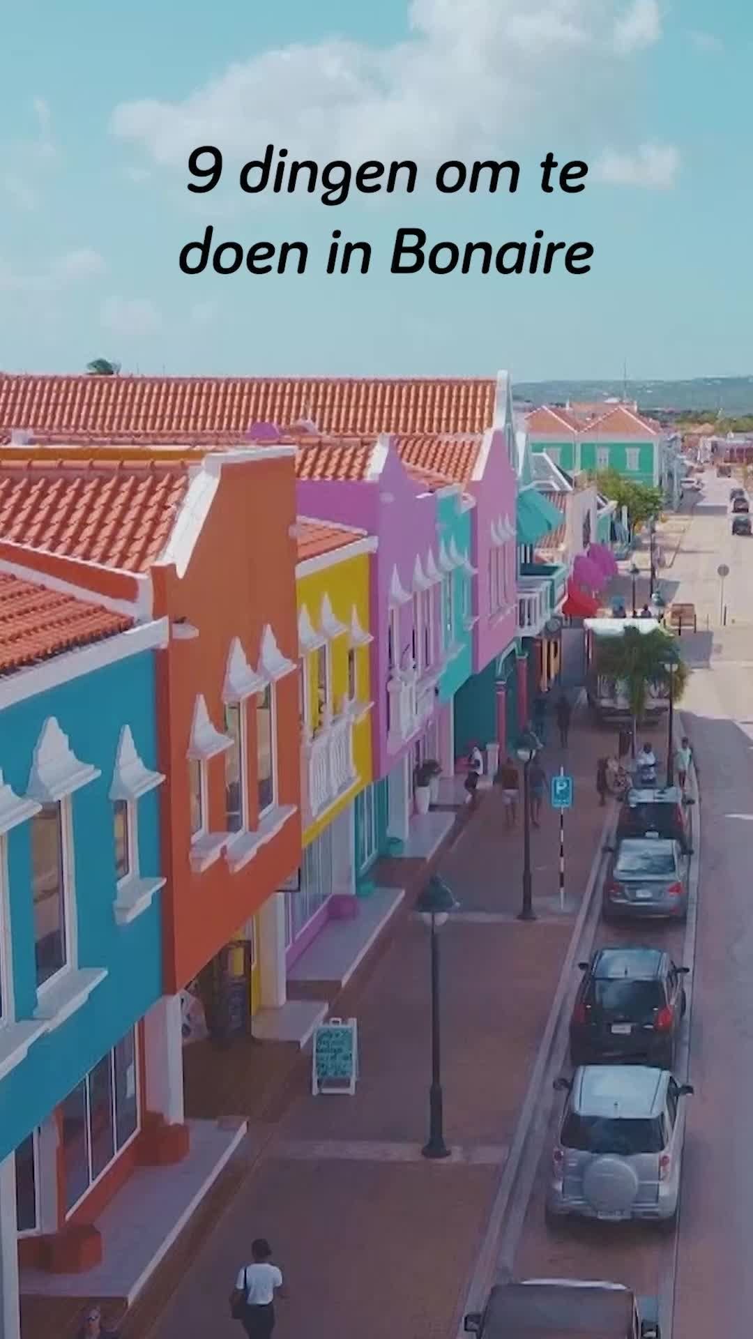 2 Attractions in Kralendijk