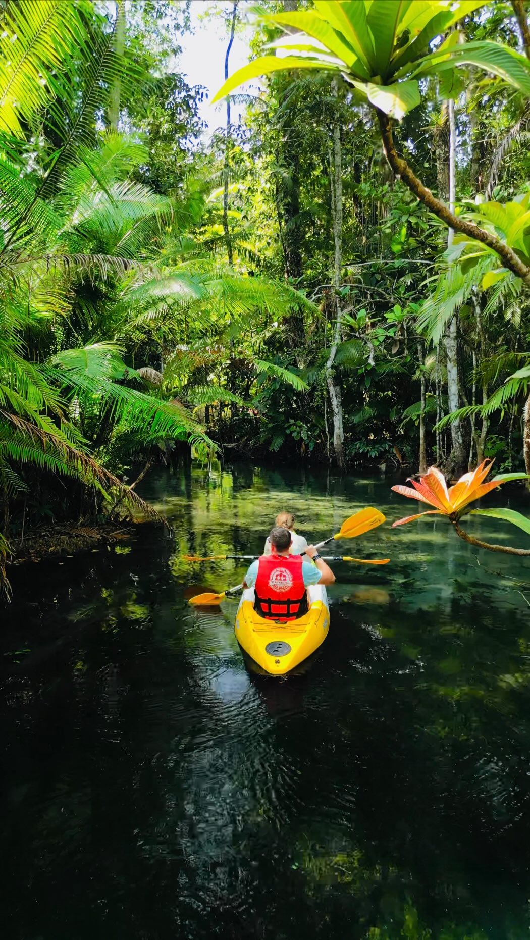 Kayaking Through Krabi's Clear Waters