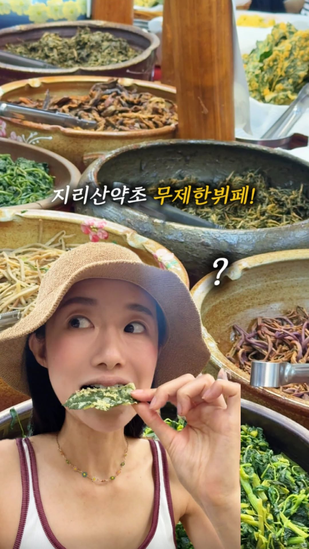 Jirisan Buffet Offers Wild Herbs And Local Delicacies