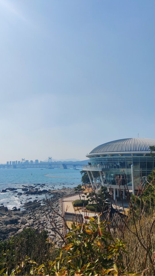 Busan Coastal Gems: Beaches, Parks, and Spa