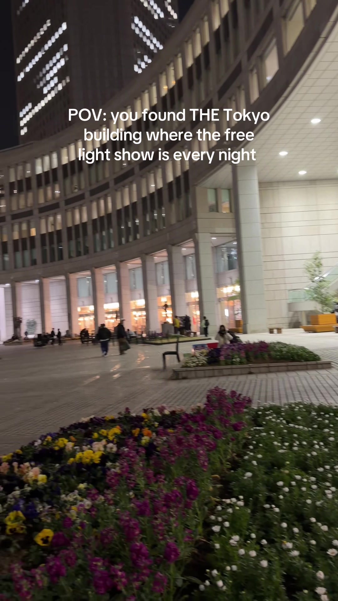 Free Projection Mapping Show in Tokyo