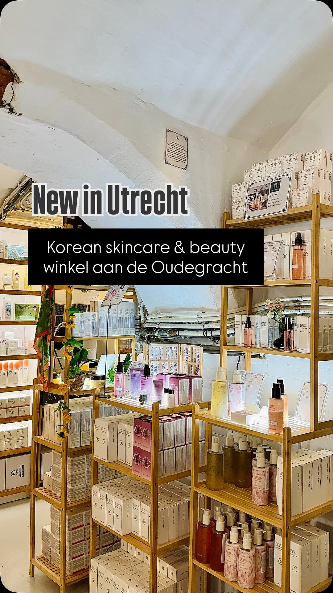 Discover Adult-Focused Cosmetics at Chammy