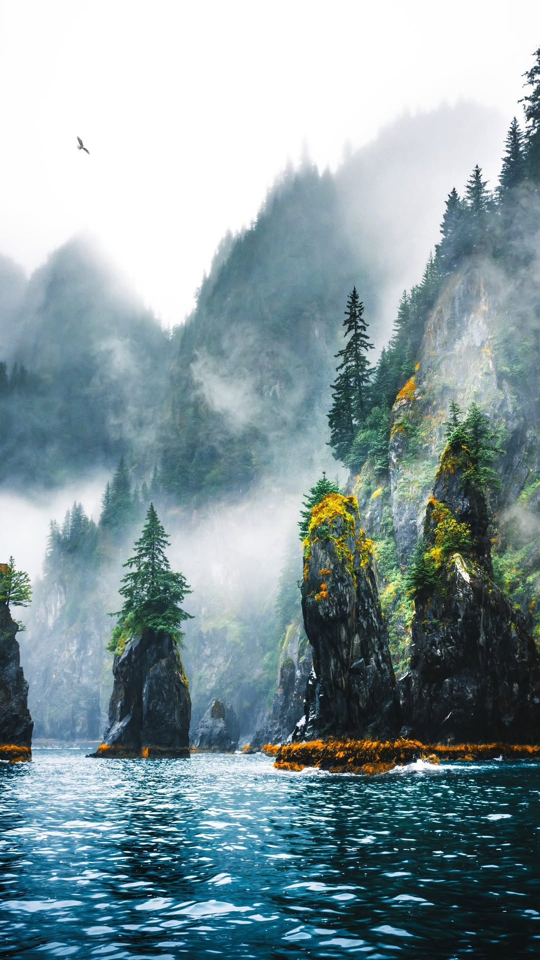 Vast Wilderness Of Alaska