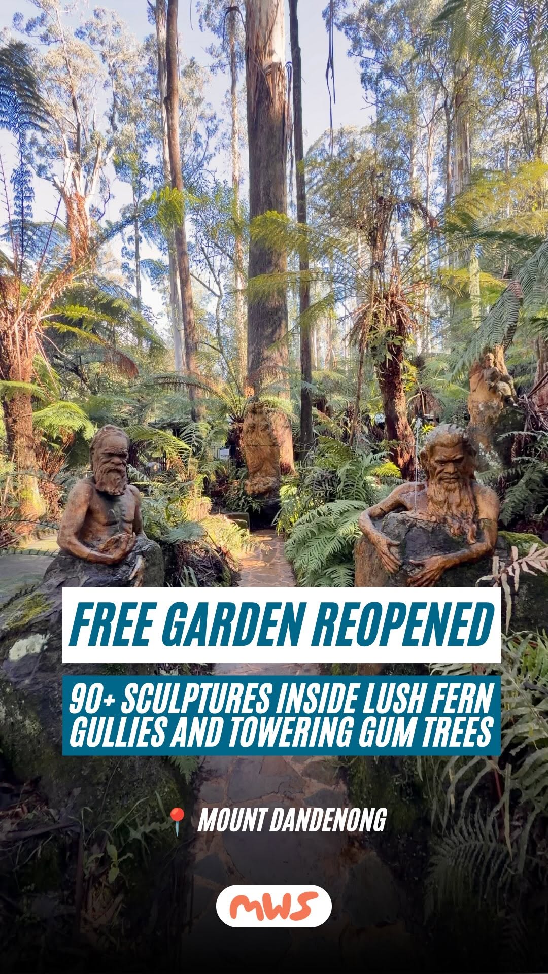 Dandenong Ranges Attractions For A Relaxing Day Out