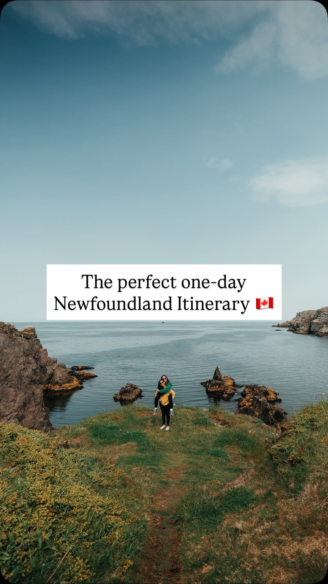 Bonavista Peninsula Road Trip Highlights