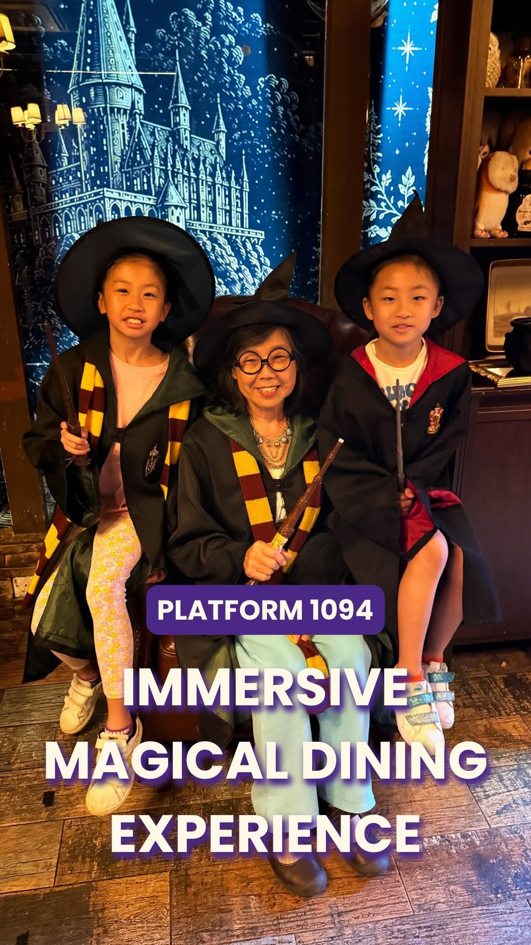 Platform 1094: A Magical Dining Experience