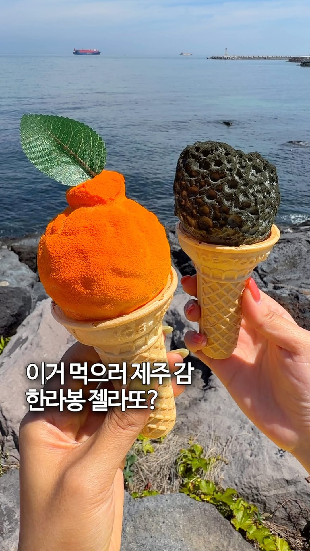 Jeju's Must-Try Hallabong Gelato and Cookies