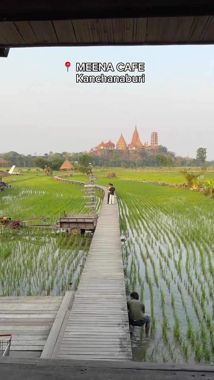 Meena Cafe: Thailand's Beautiful Rice Field Views