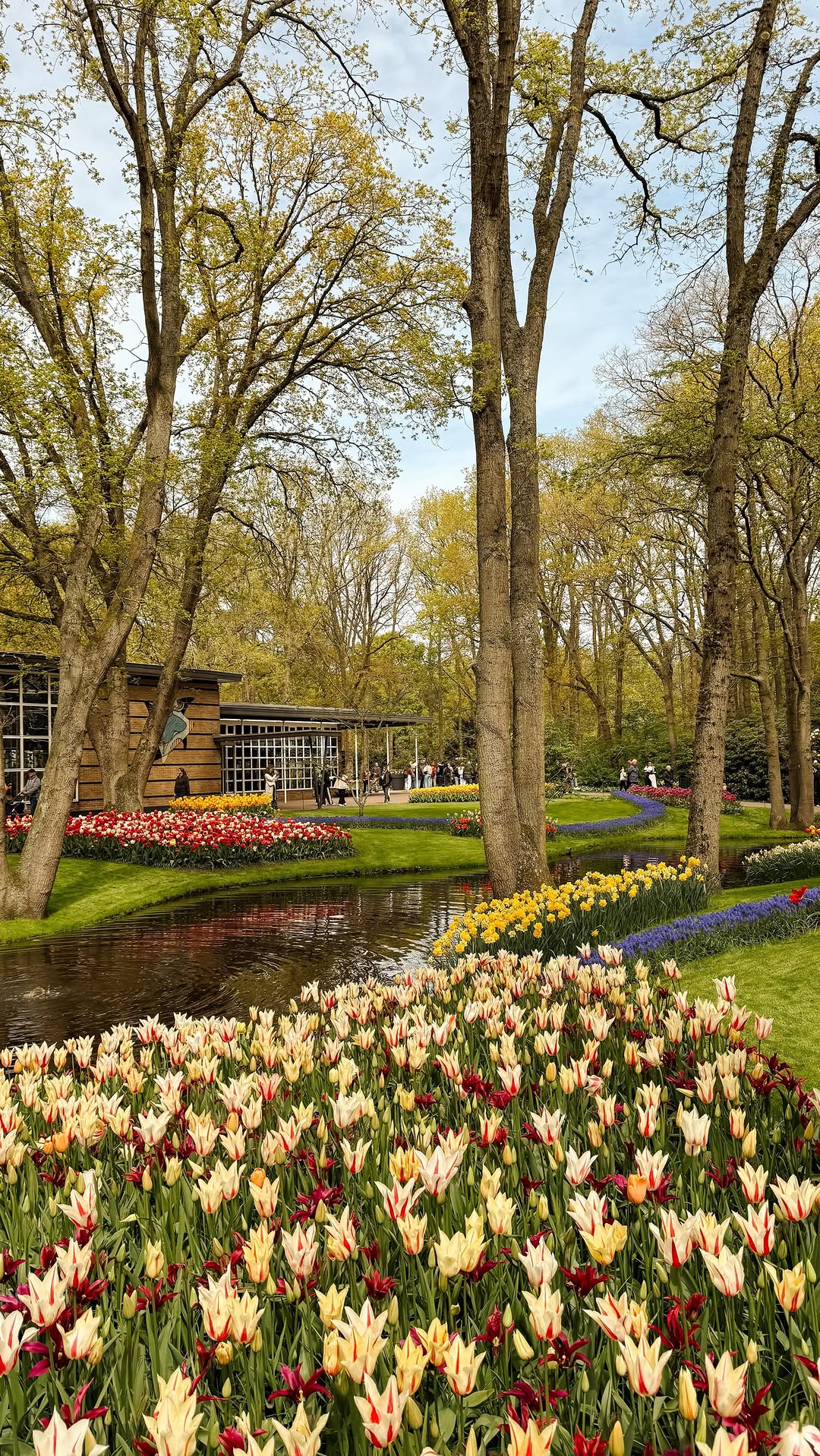 Keukenhof: World's Largest Tulip Garden