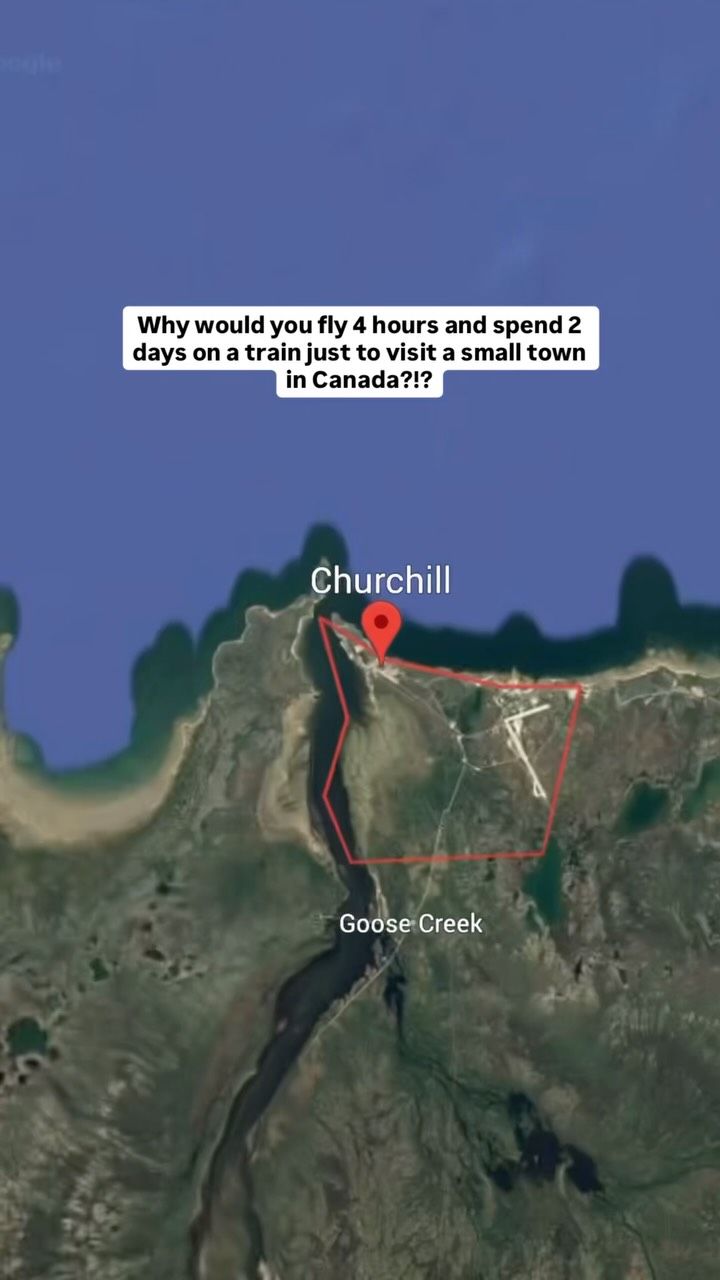 Churchill Attractions: Polar Bears and Historic Sites