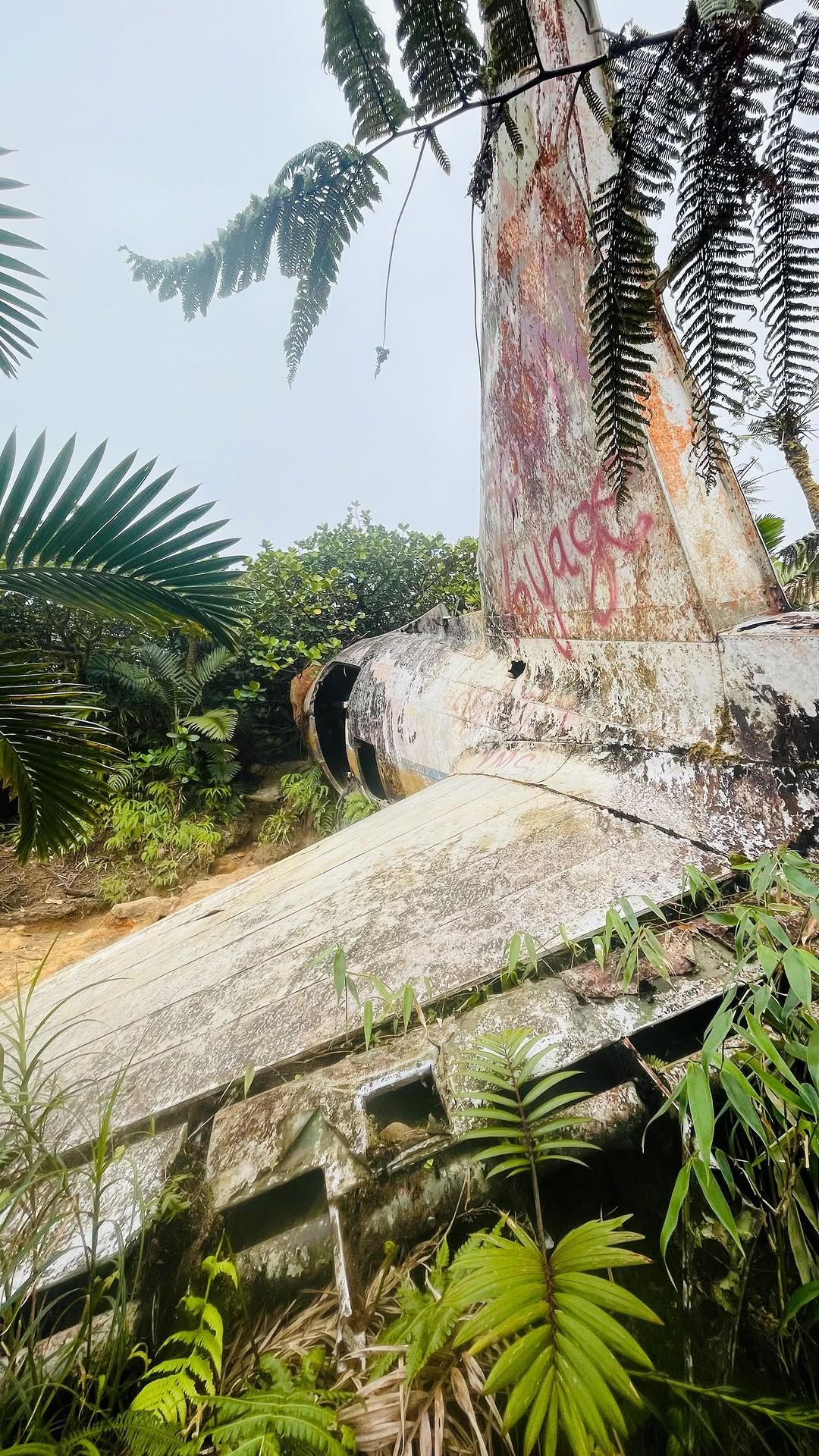 Guadeloupe Hikes: A Top Three Adventure