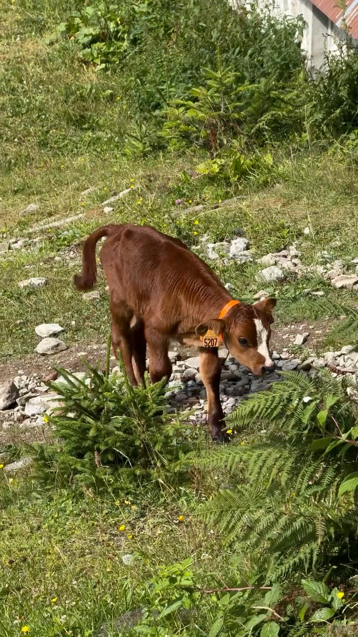 Mercantour National Park Lakes and Trails