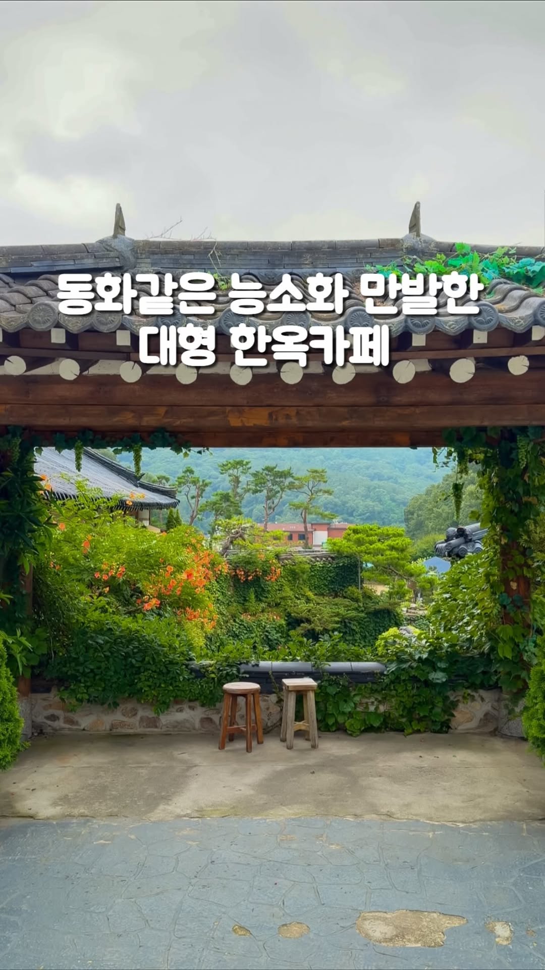 Hanok Cafe Blooms With Trumpet Vines