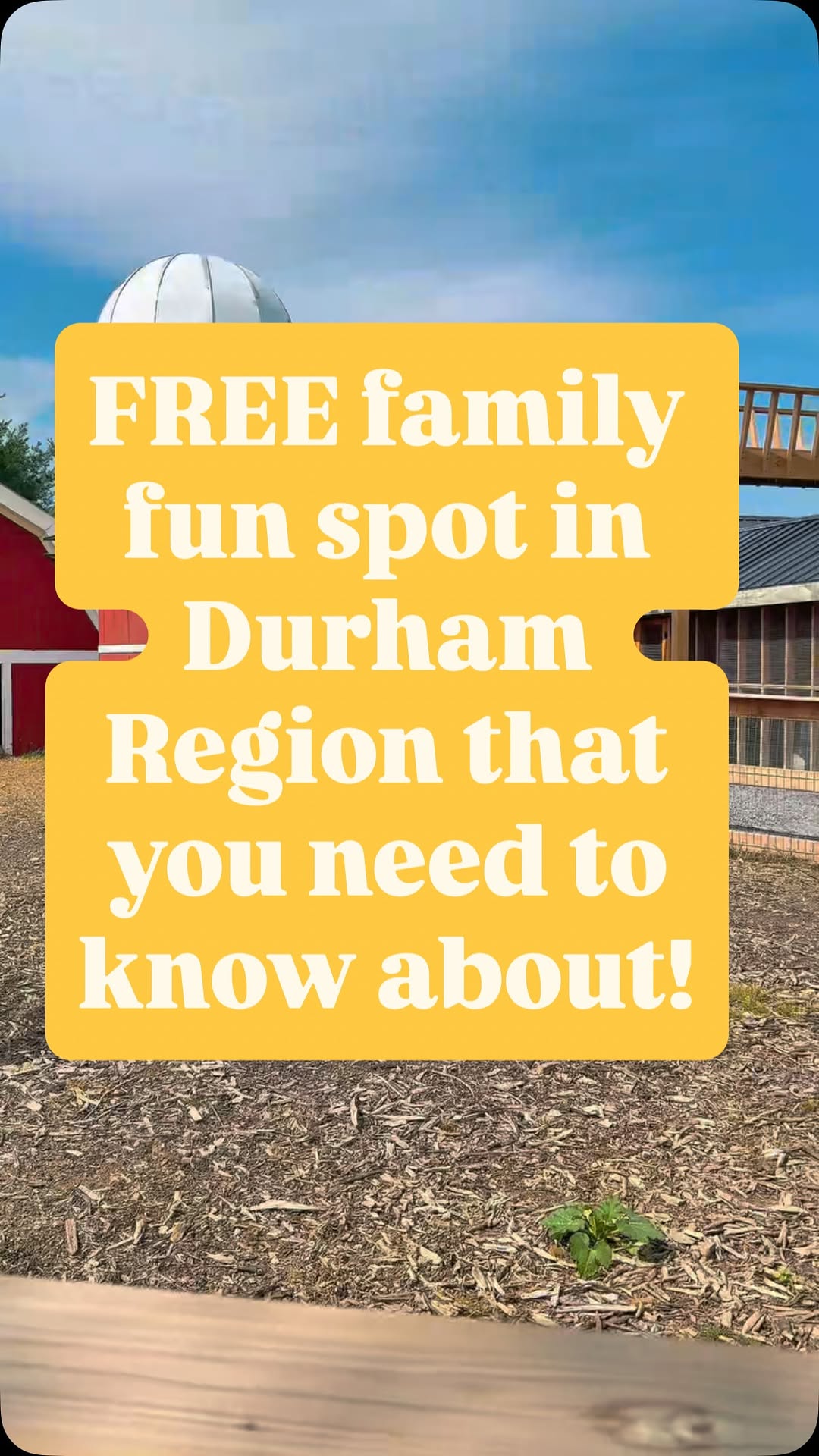 Willowtree Farm: Family Fun With Animals And Activities