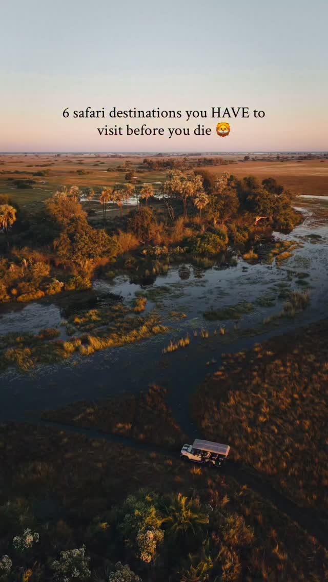 Six Must-Visit Safari Destinations