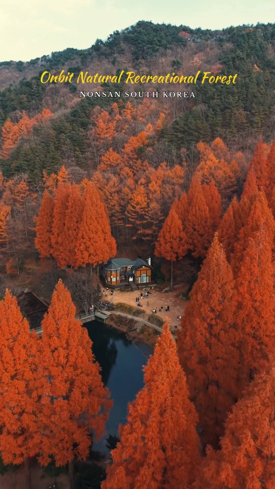 Onbit Nature Recreation Forest Retreat