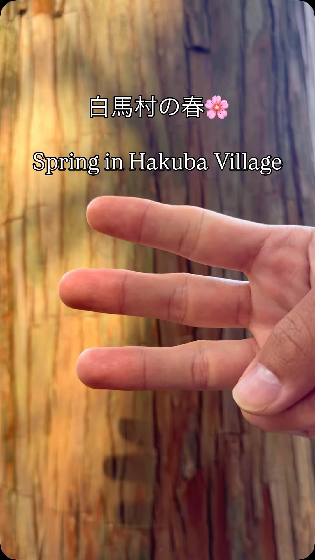 1 Places in Hakuba