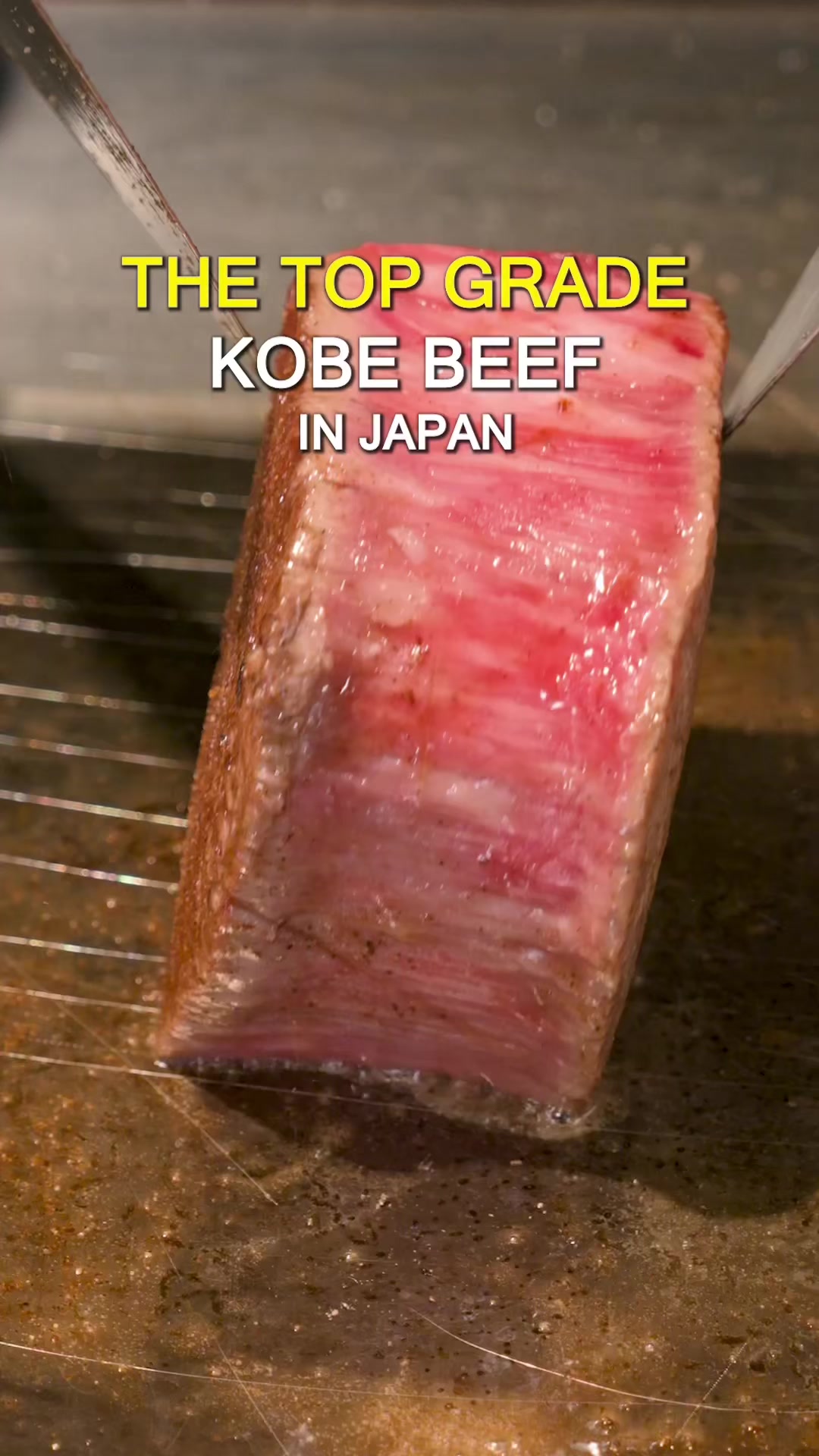 Kobe Beef and Wagyu Teppanyaki in Shinjuku