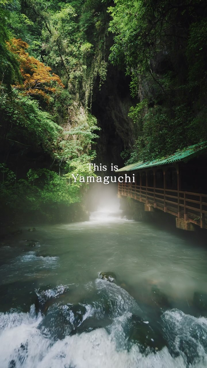 Yamaguchi Prefecture's Scenic Coastal and Cave Wonders