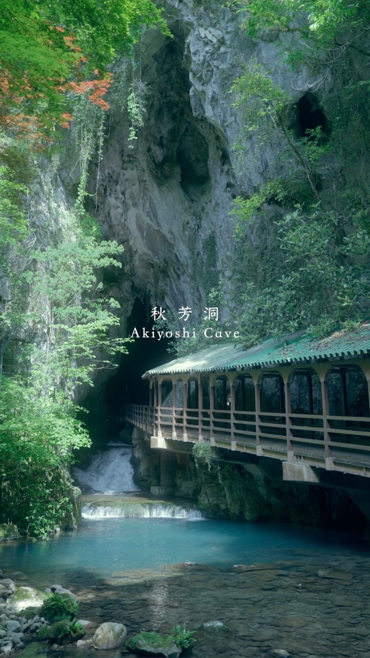 Akiyoshido Cave: A Grand Underground Natural Wonder