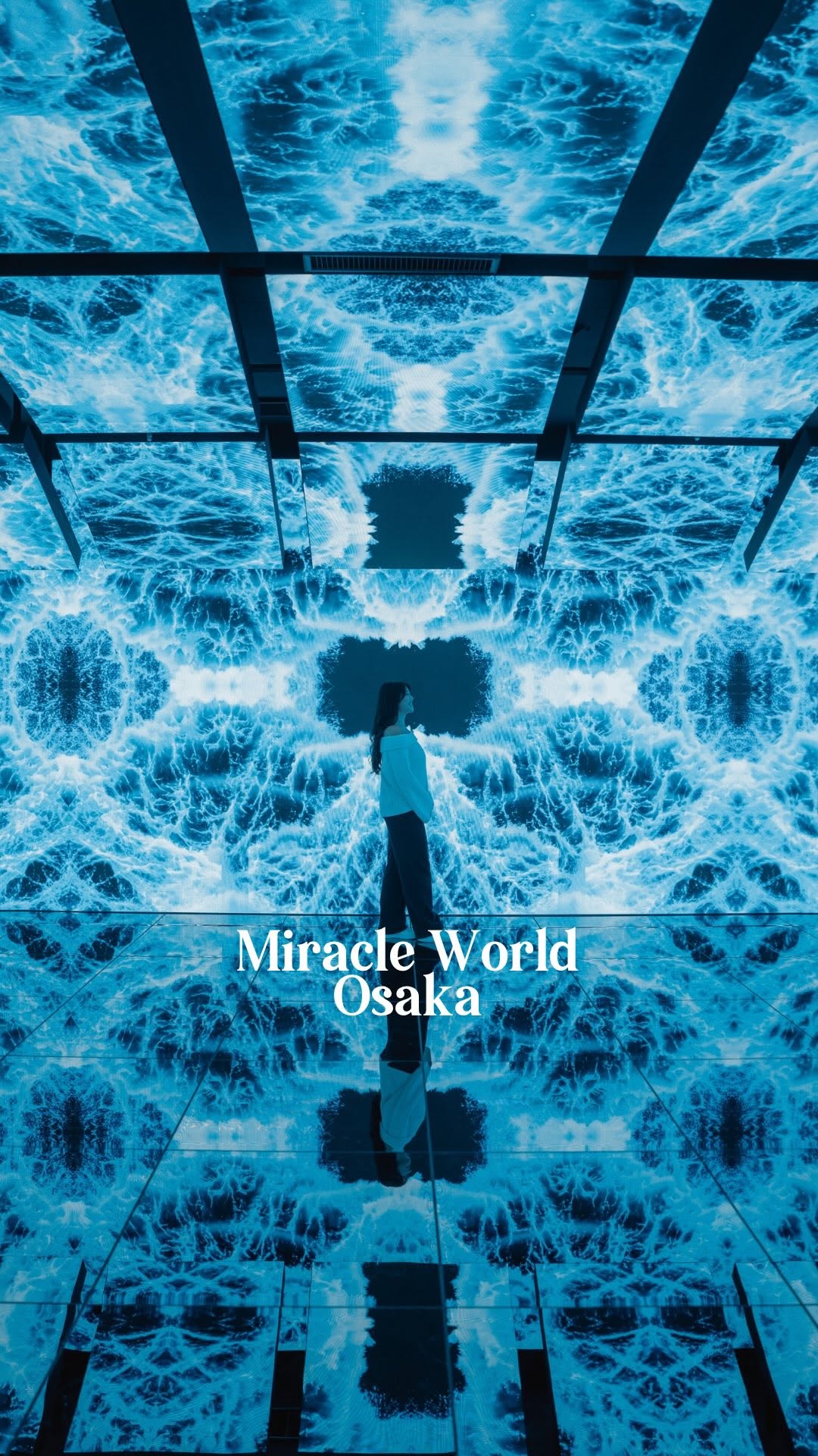 Miracle World Osaka: Immersive Digital Art Museum