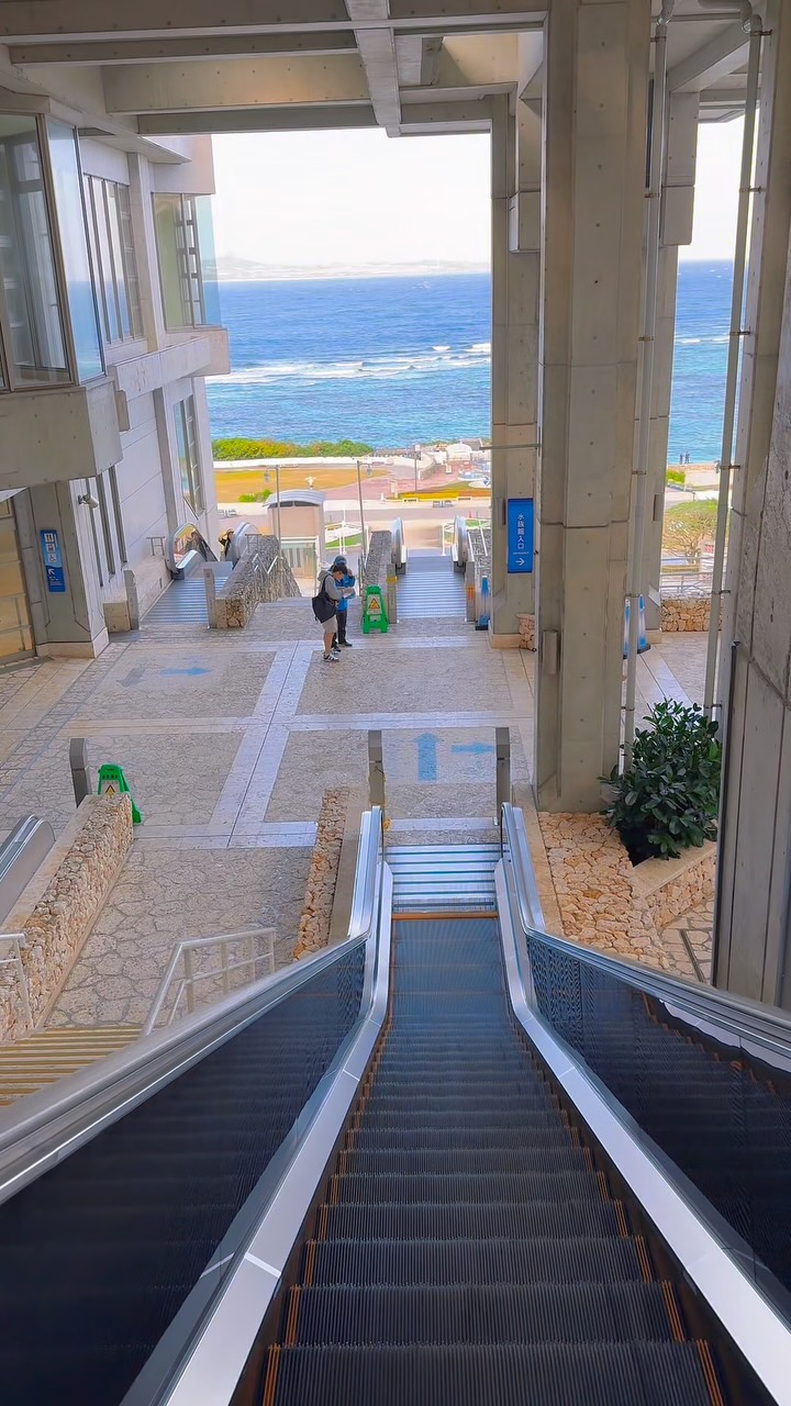 Okinawa Churaumi Aquarium's Vast Marine Life