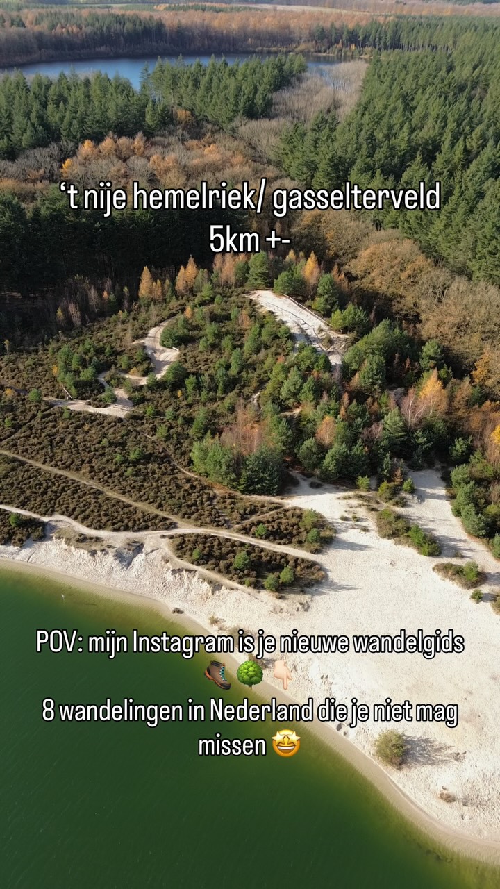 Netherlands Hikes: Forests, Dunes, and Observation Towers
