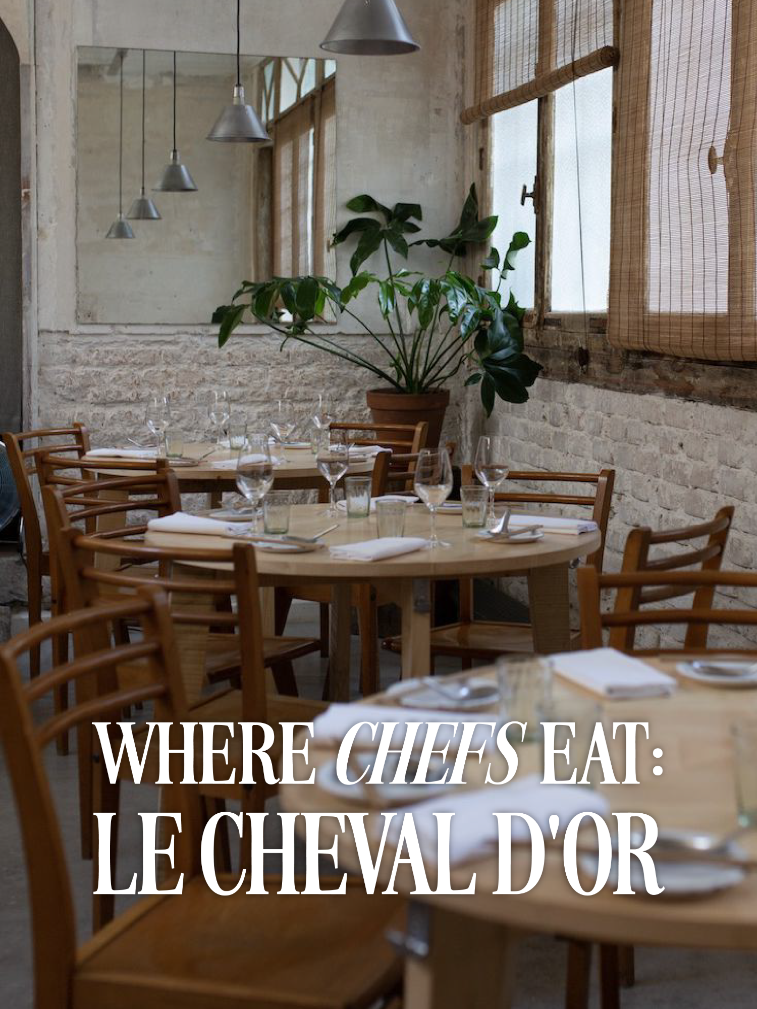 Le Cheval D'Or: A Chinese-French Culinary Gem
