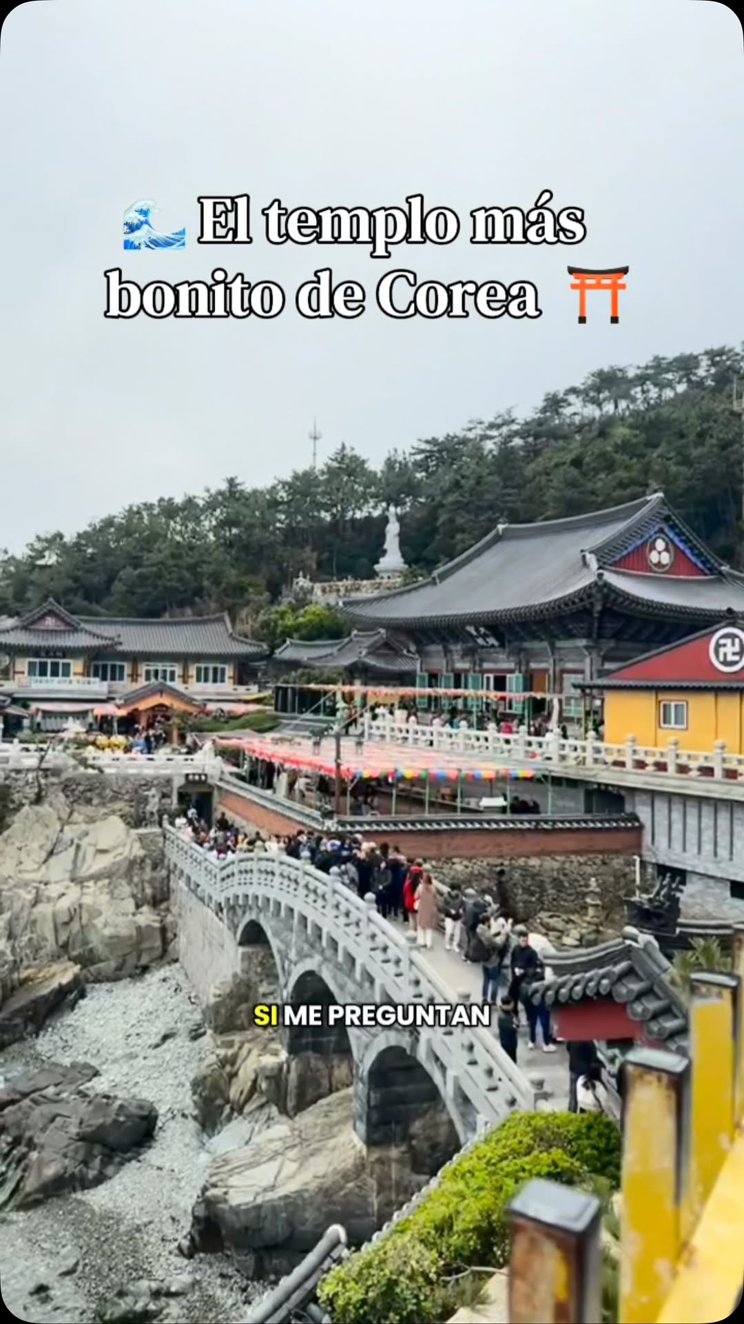 Busan's Stunning Seaside Buddhist Temple