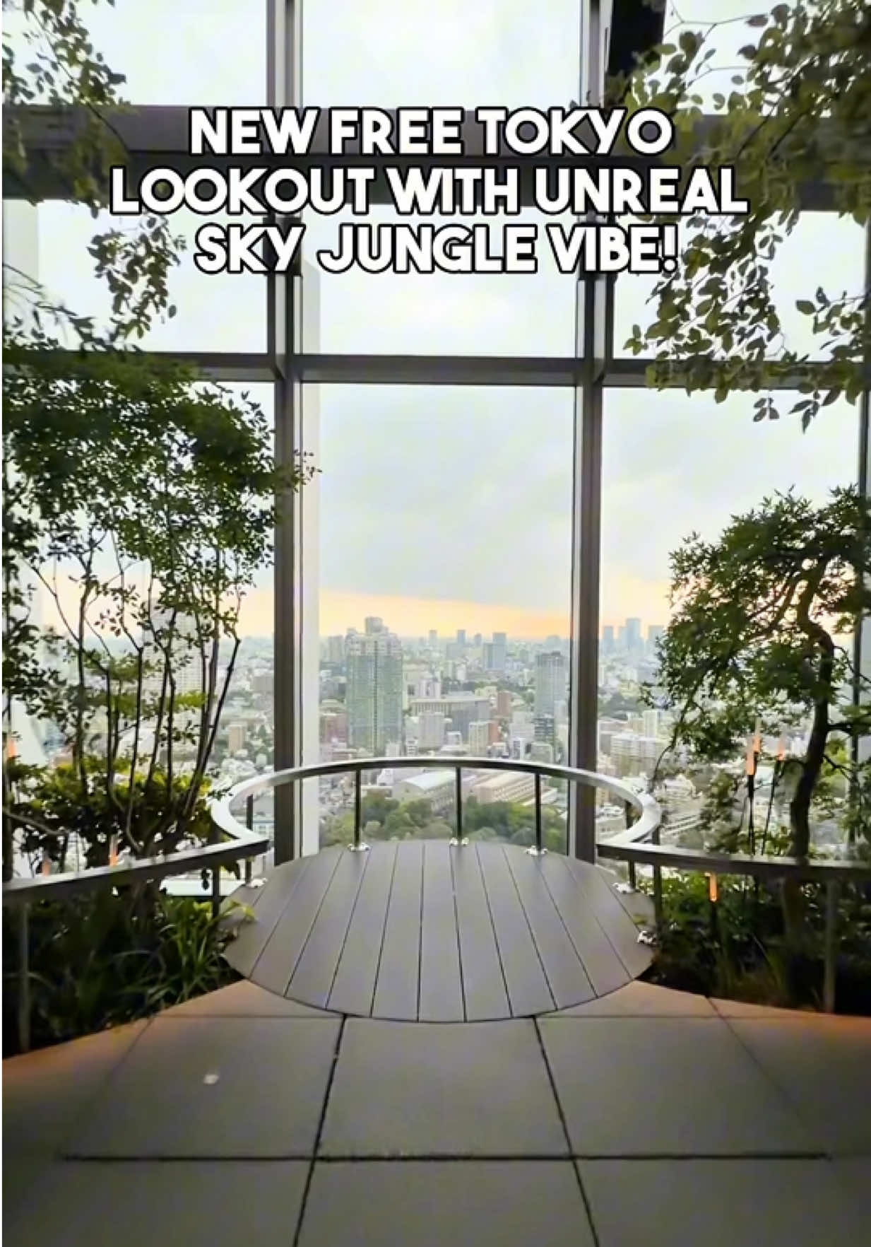 Tokyo's New Free Lookout Garden