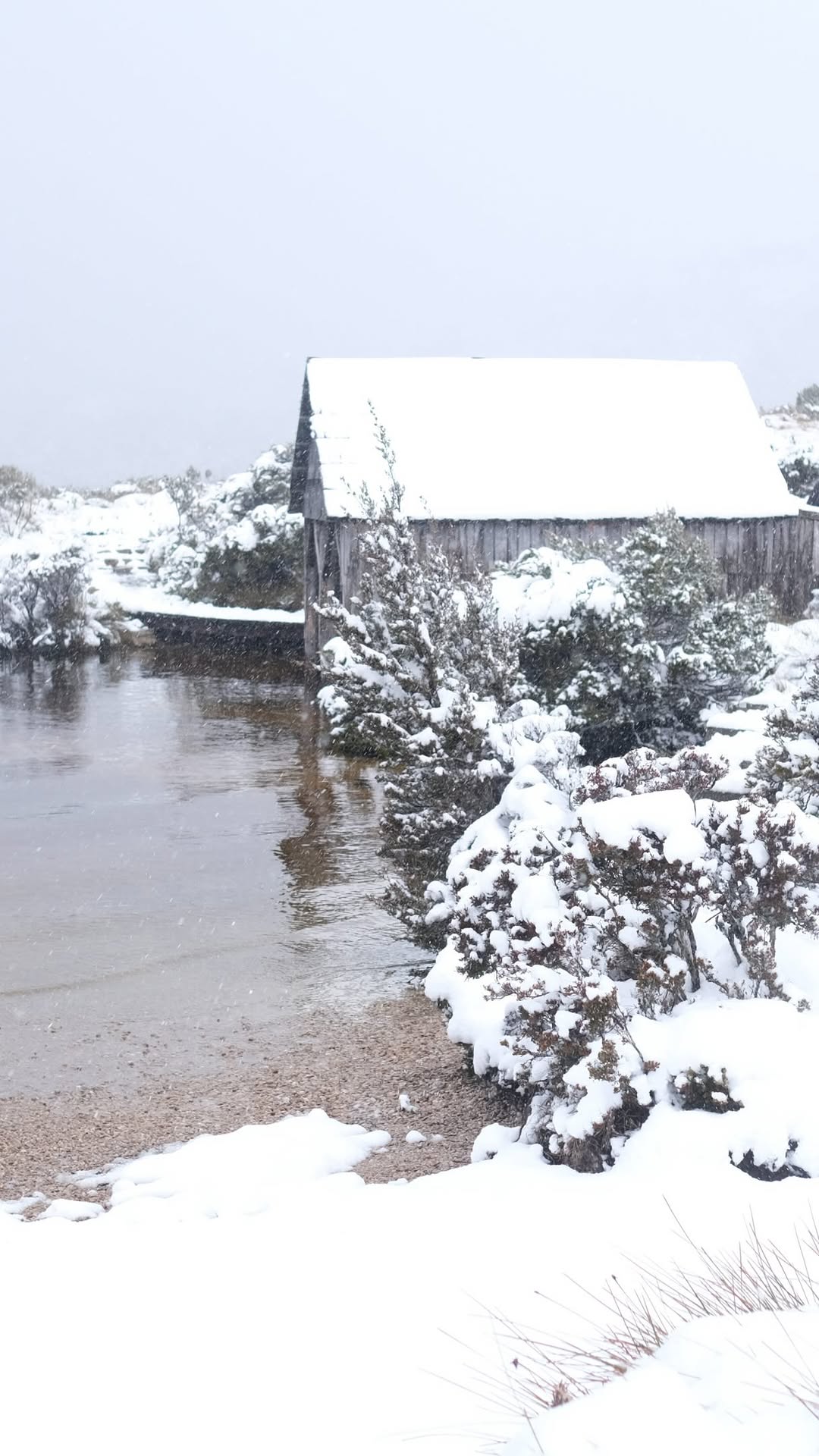 2 Attractions in Cradle Mountain