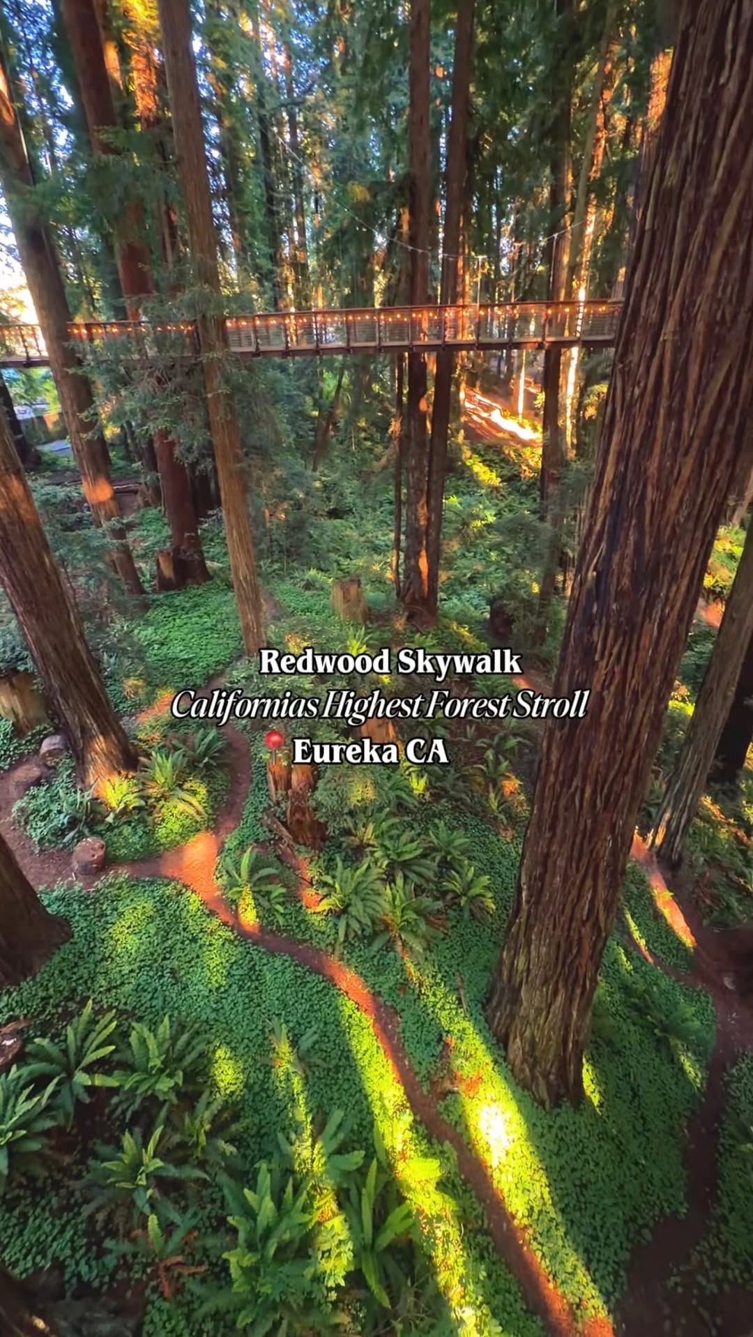 2 Hotels in California