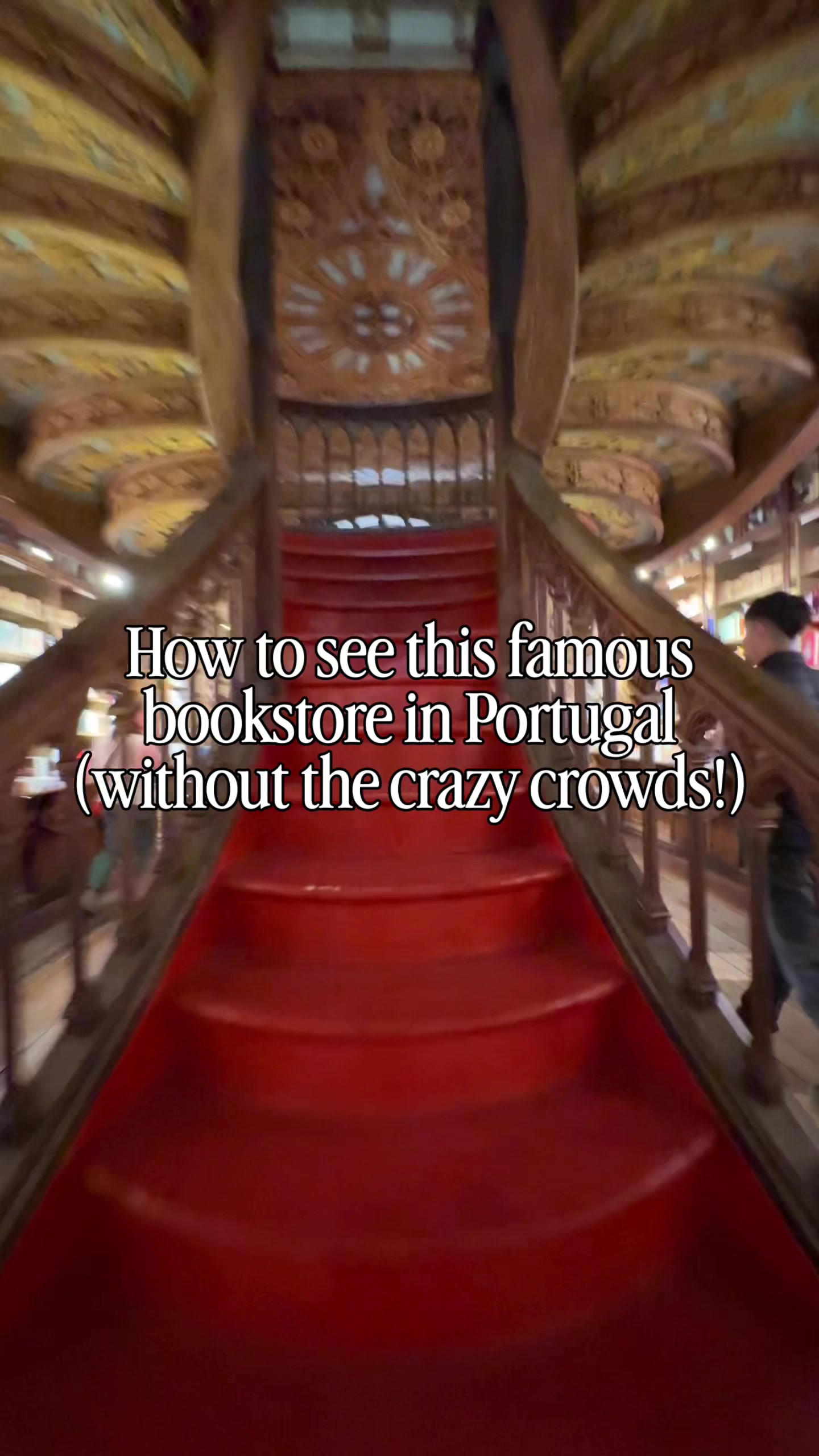 Porto's Livraria Lello: Harry Potter-Inspired Bookstore