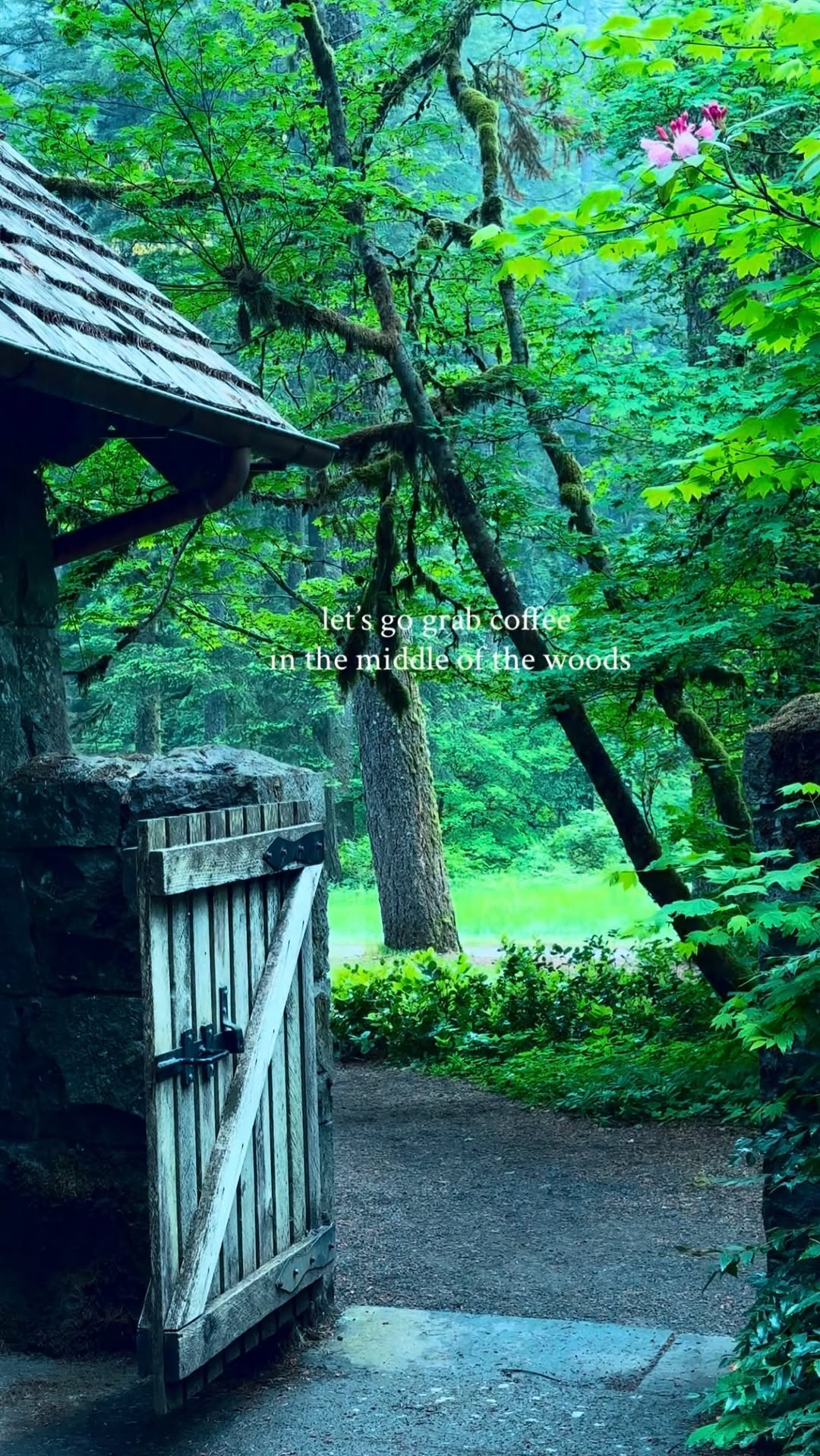Oregon Waterfalls and Woodland Coffee Spots