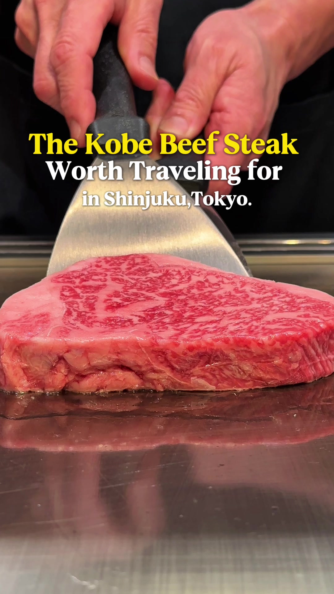 Kobe Beef and Wagyu Dining in Shinjuku