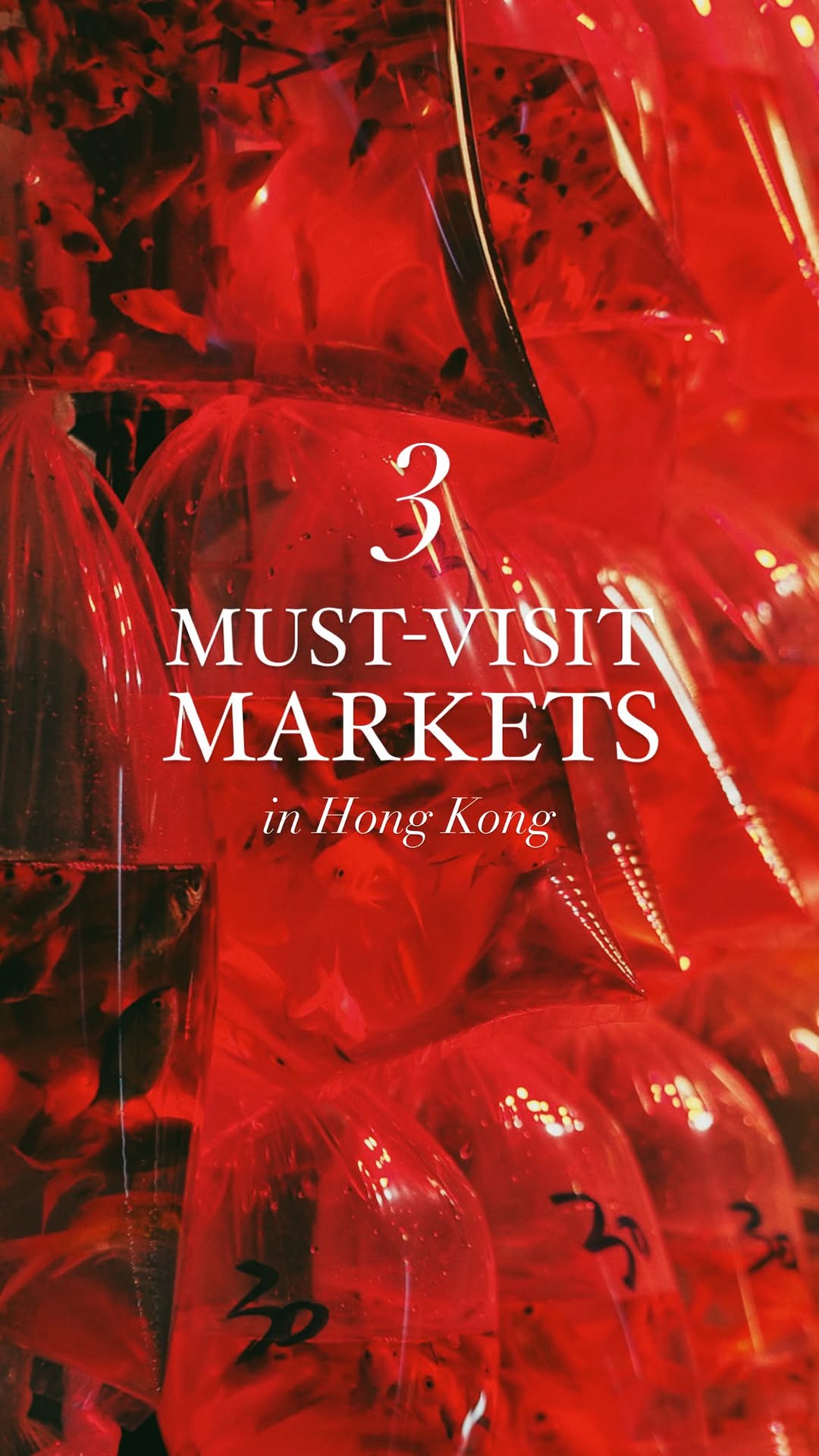 3 Shops in Kowloon