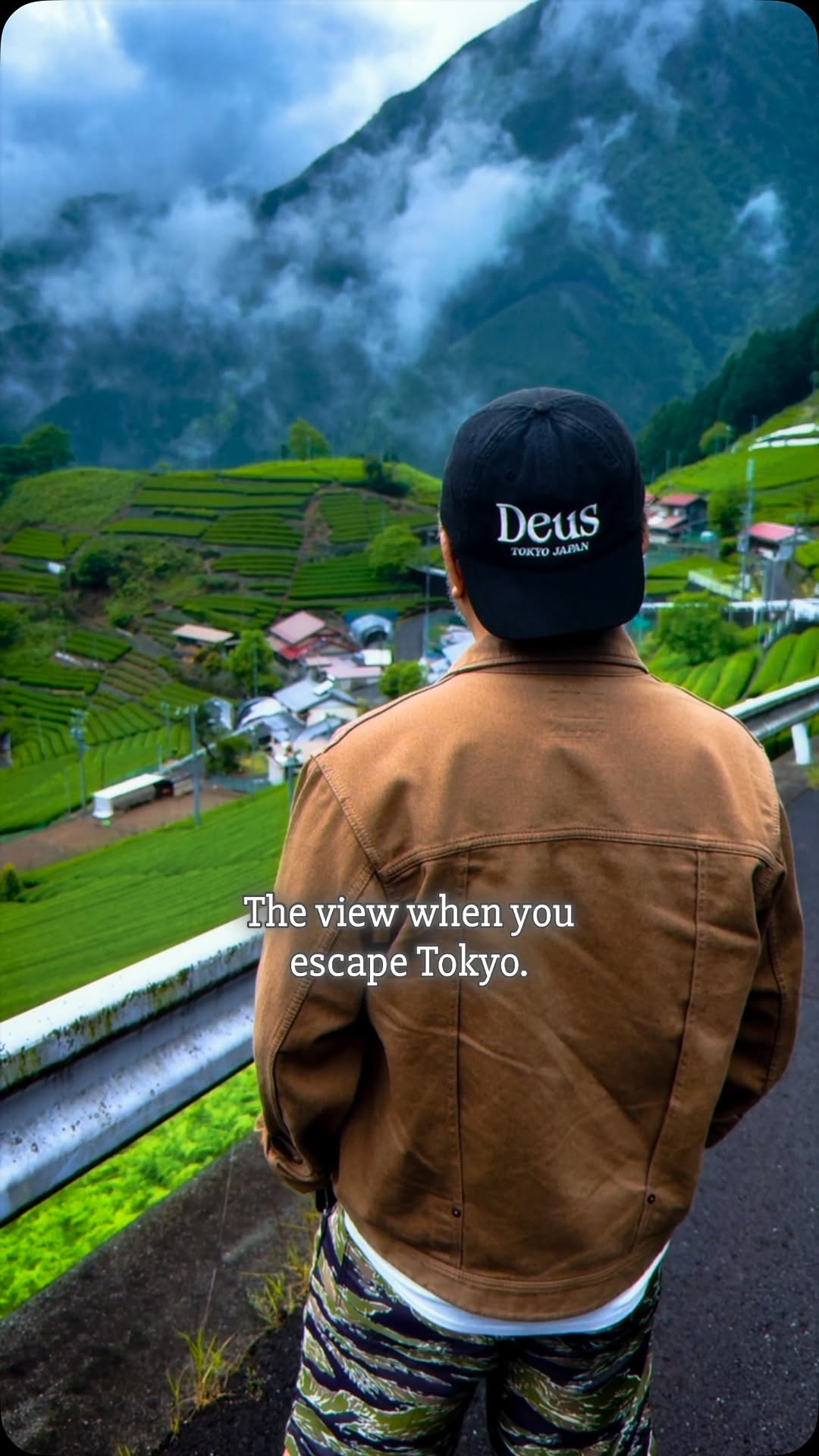 Tea Plantations Near Mount Fuji